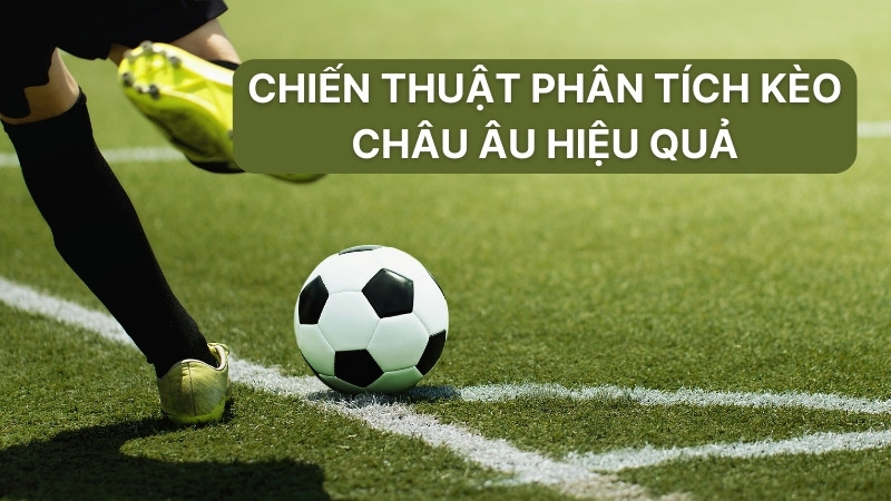 Kèo Châu Âu: Hướng Dẫn Đọc Và Phân Tích Tỷ Lệ Chuẩn Xác 4 Chiến thuật phân tích kèo châu âu hiệu quả