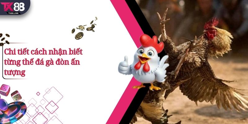 Top 5+ Thế Đá Gà Đòn Hay Và Cách Nhận Biết Cực Chuẩn 3 Chi tiết cách nhận biết từng thế đá gà đòn ấn tượng