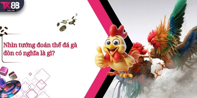 Top 5+ Thế Đá Gà Đòn Hay Và Cách Nhận Biết Cực Chuẩn 2 Nhìn tướng đoán thế đá gà đòn có nghĩa là gì?