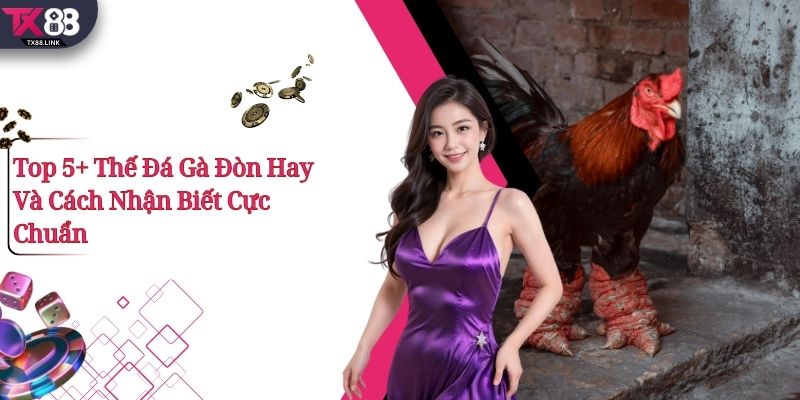 Top 5+ Thế Đá Gà Đòn Hay Và Cách Nhận Biết Cực Chuẩn 9 Top 5+ Thế Đá Gà Đòn Hay Và Cách Nhận Biết Cực Chuẩn