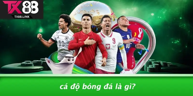 Cá Độ Bóng Đá Là Gì?